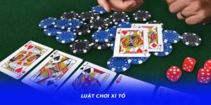 Luật Chơi Xì Tố – Bí Quyết Theo Dõi Diễn Biến Được Quan Tâm